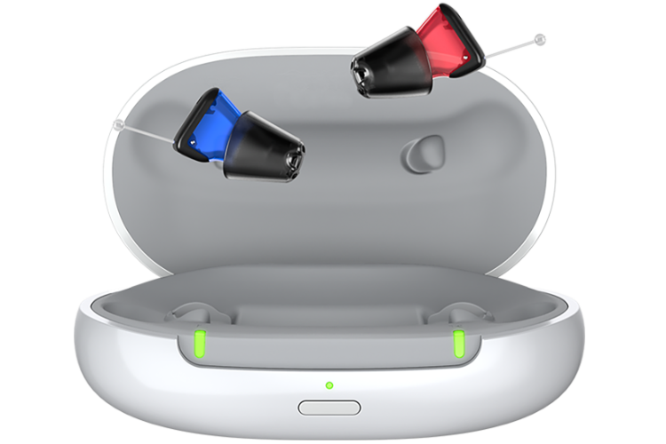 Signia Silk Charge&Go IX